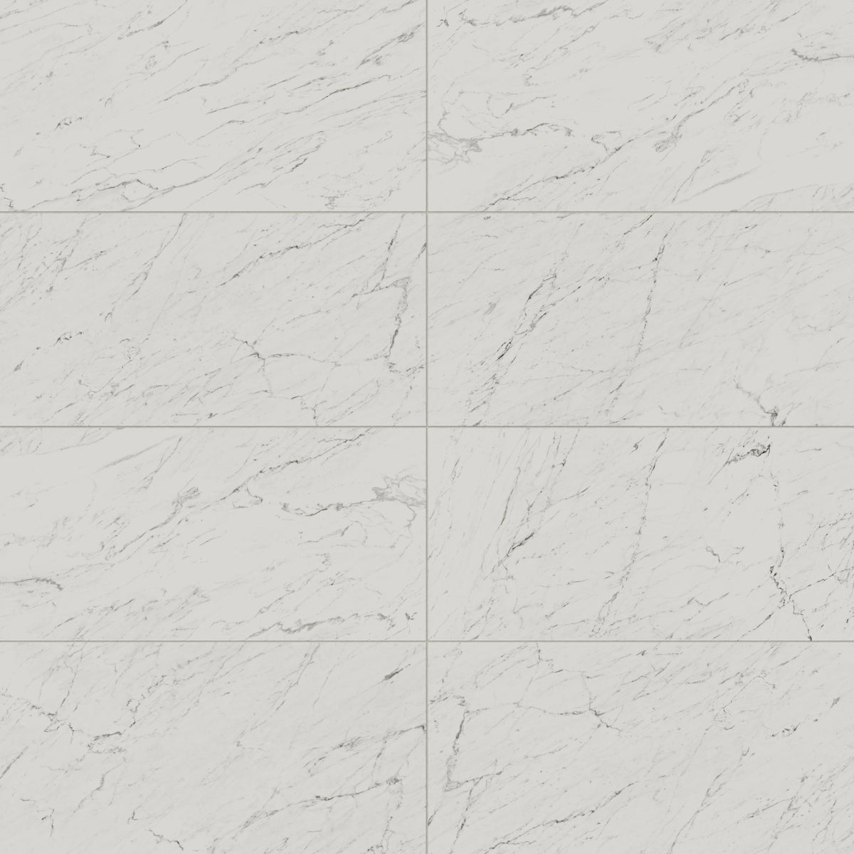 Blair 24 x 48 Matte Porcelain Tile in White Carrara