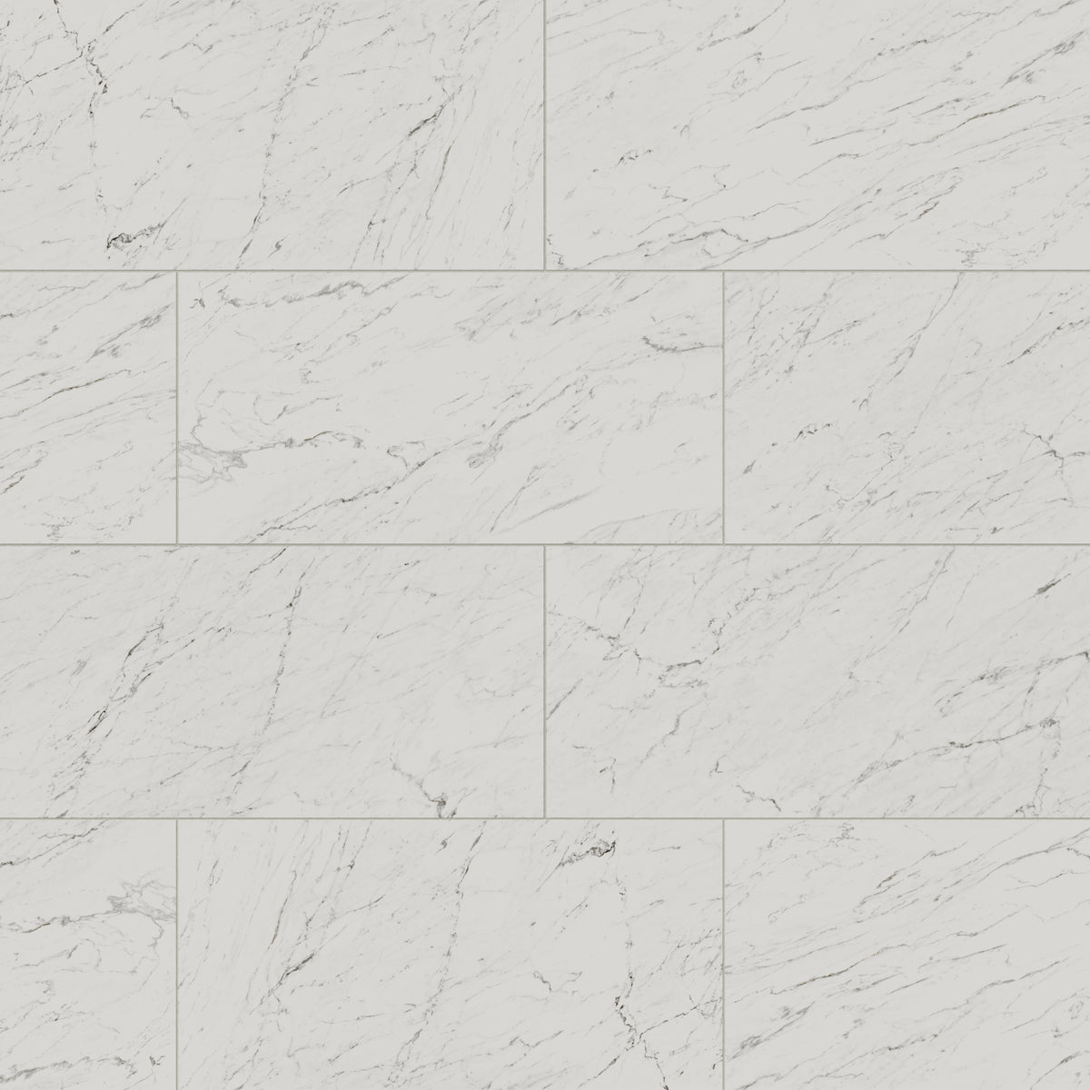 Blair 24 x 48 Matte Porcelain Tile in White Carrara