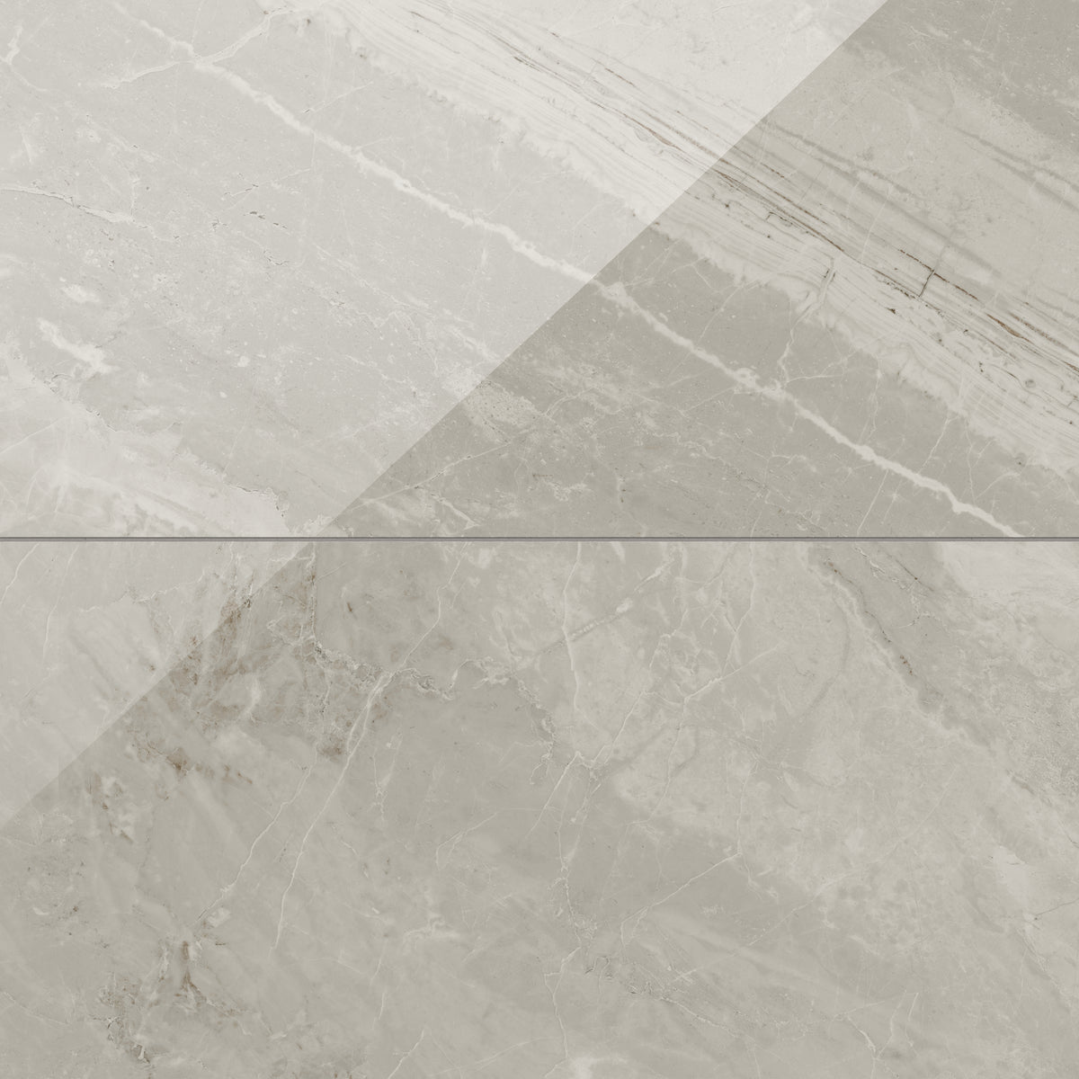 Blair 24 x 48 Polished Porcelain Tile in Oniciata Beige