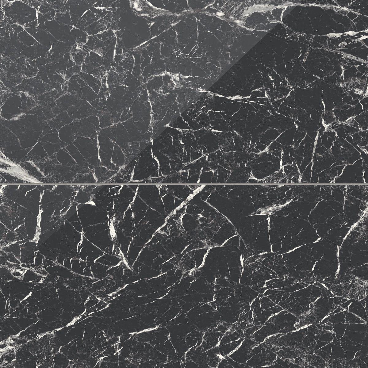 Blair 24 x 48 Matte Porcelain Tile in Marmo Black