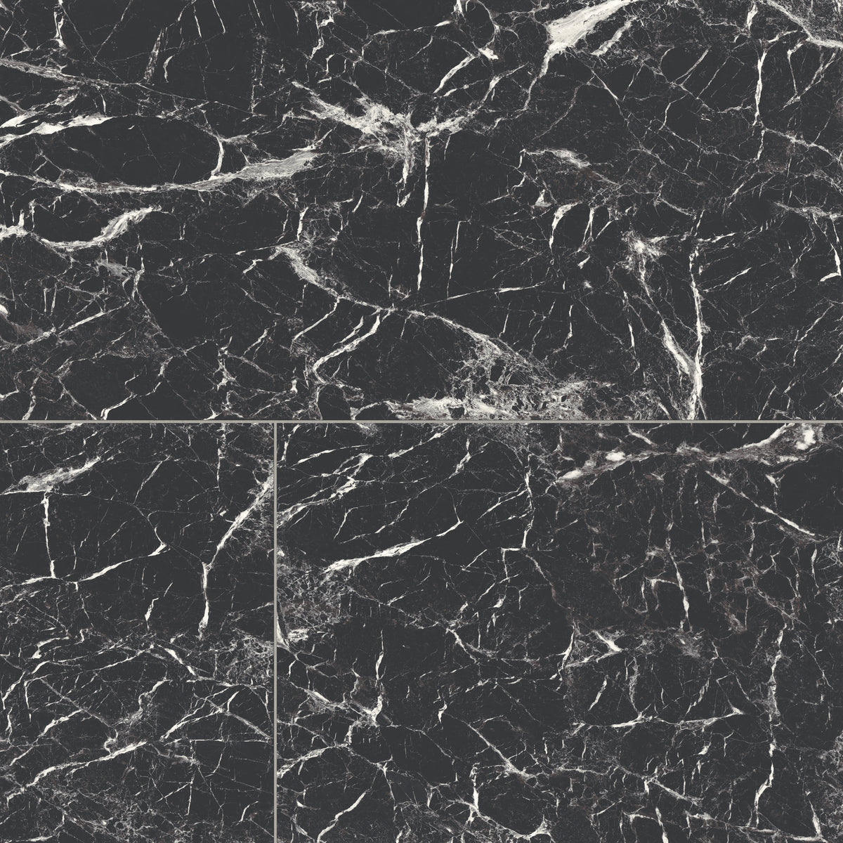 Blair 24 x 48 Matte Porcelain Tile in Marmo Black