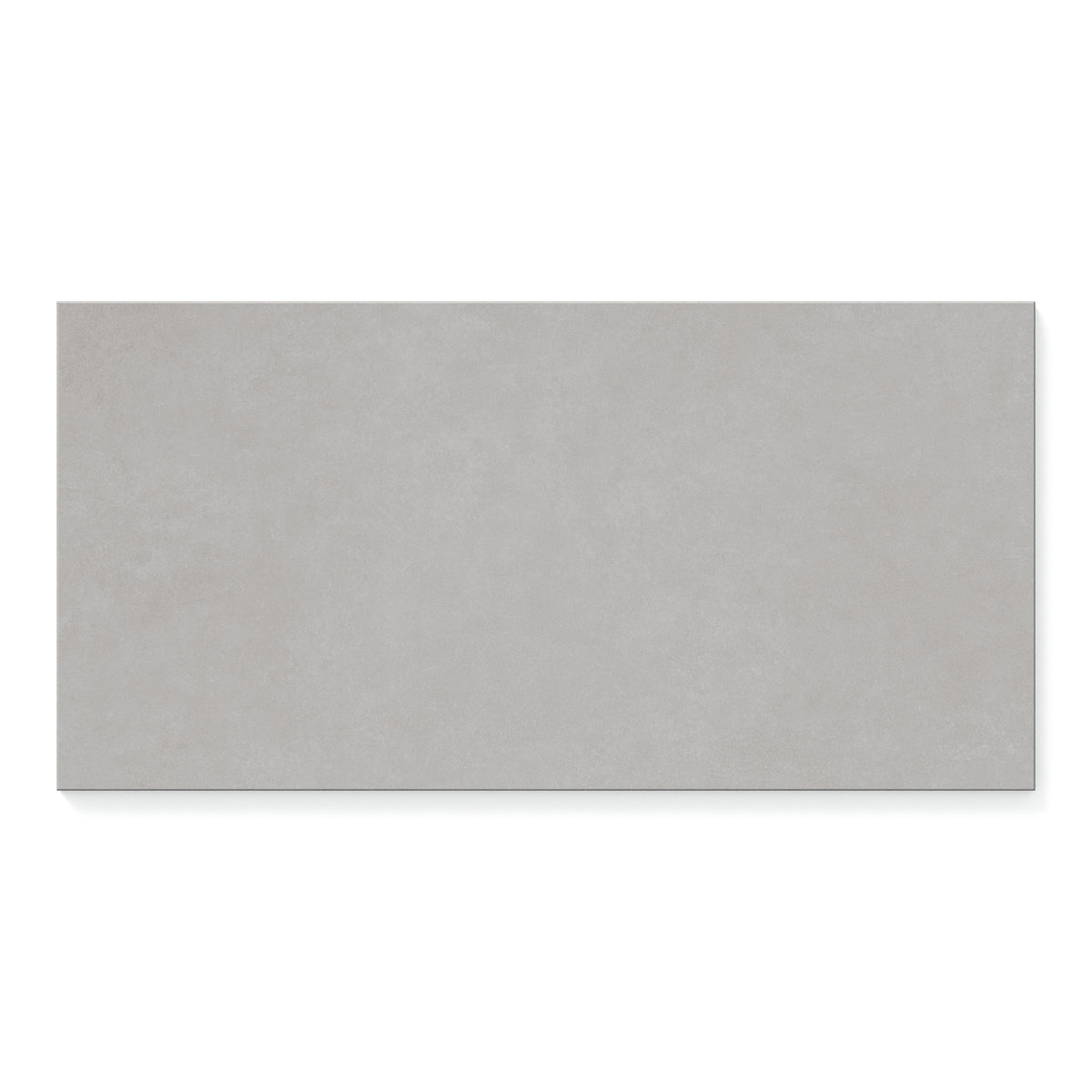 Wyatt 12 x 24 Matte Porcelain Tile in Silver Grey
