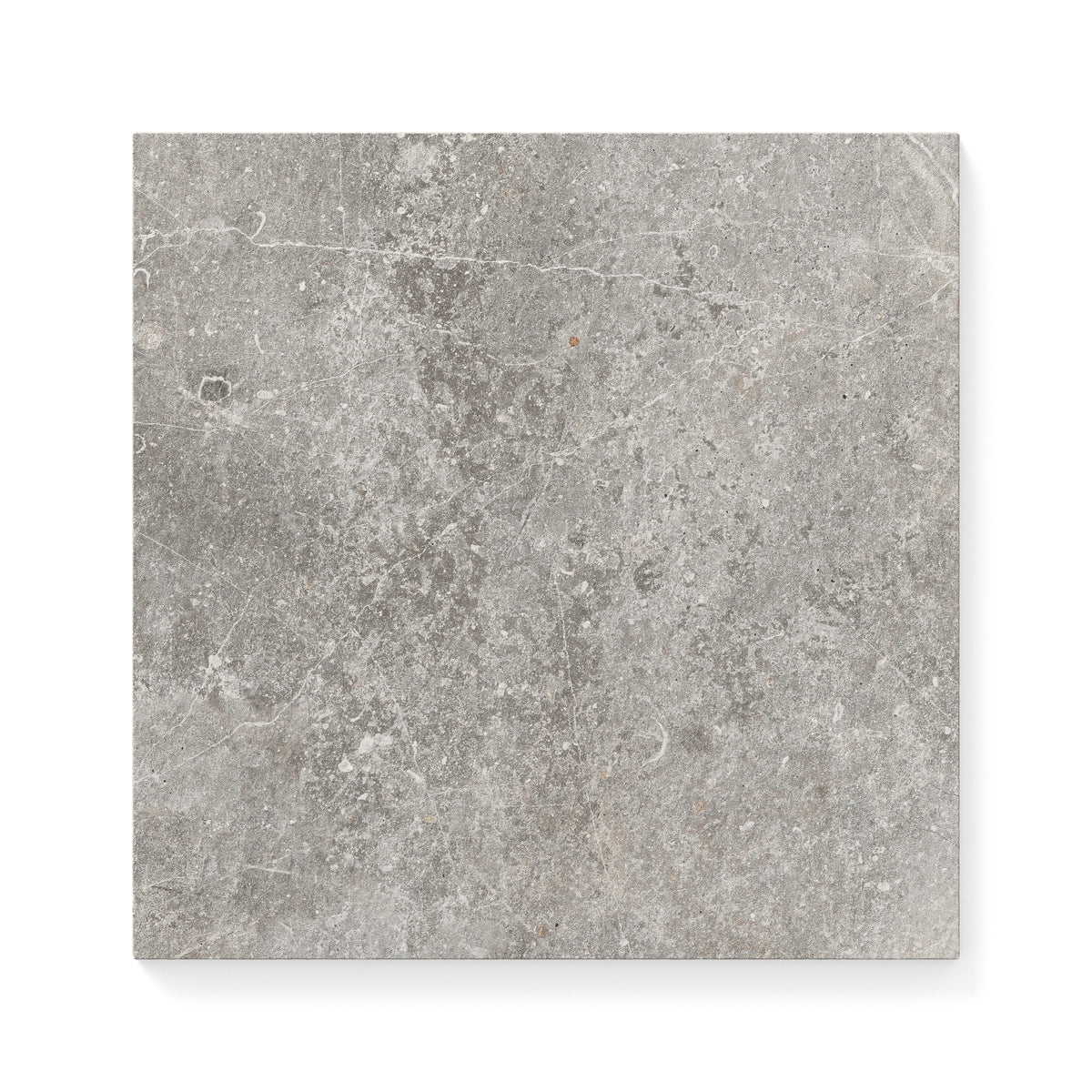Wesley 12 x 12 Matte Porcelain Tile in Putty