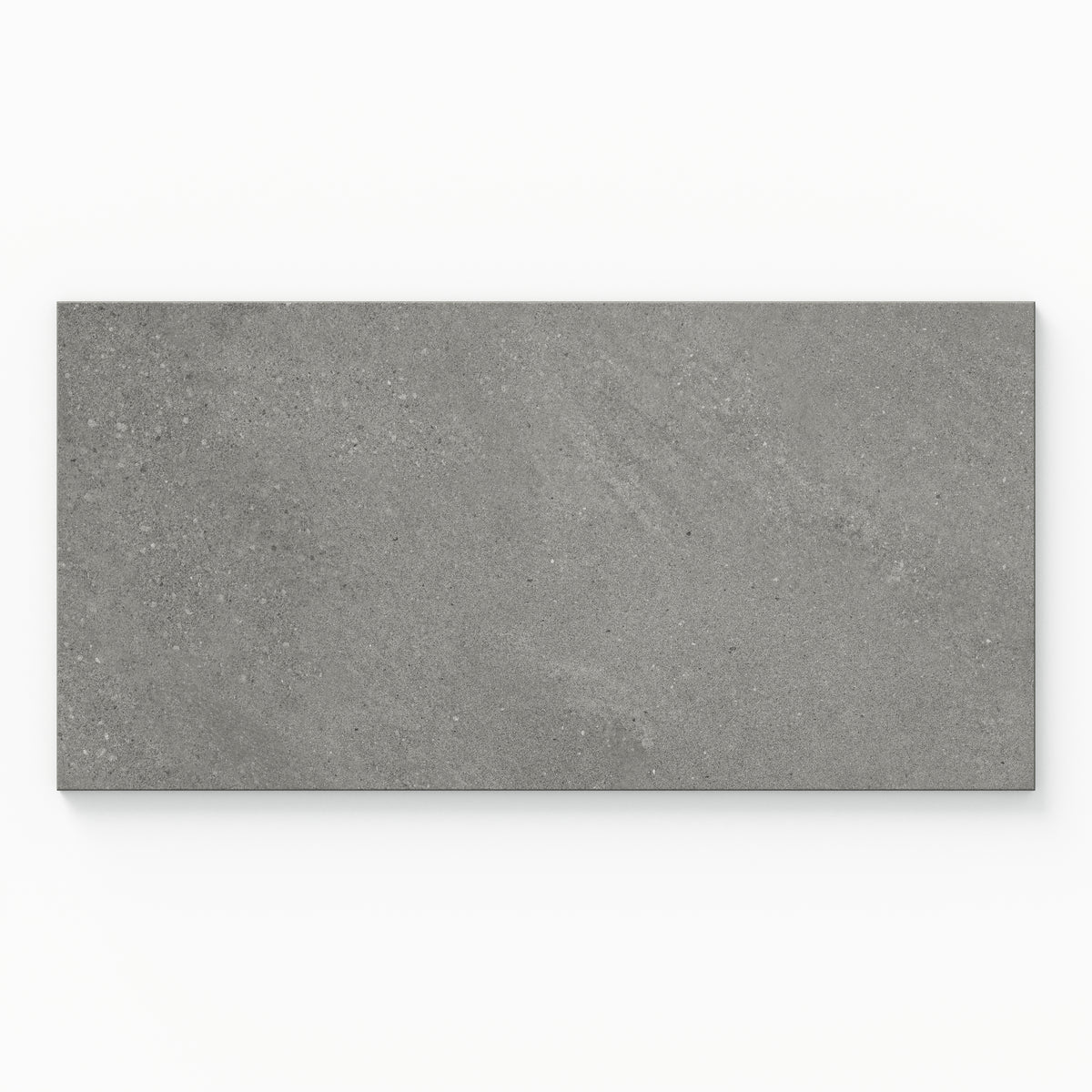 Shea 12 x 24 Matte Porcelain Tile in Storm Grey