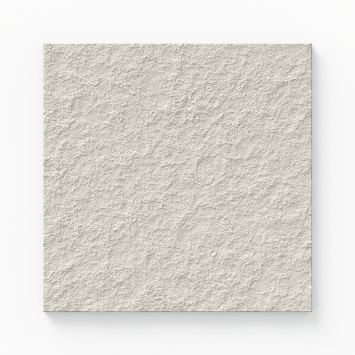 Palmer 12 x 12 Raw Porcelain Tile in White