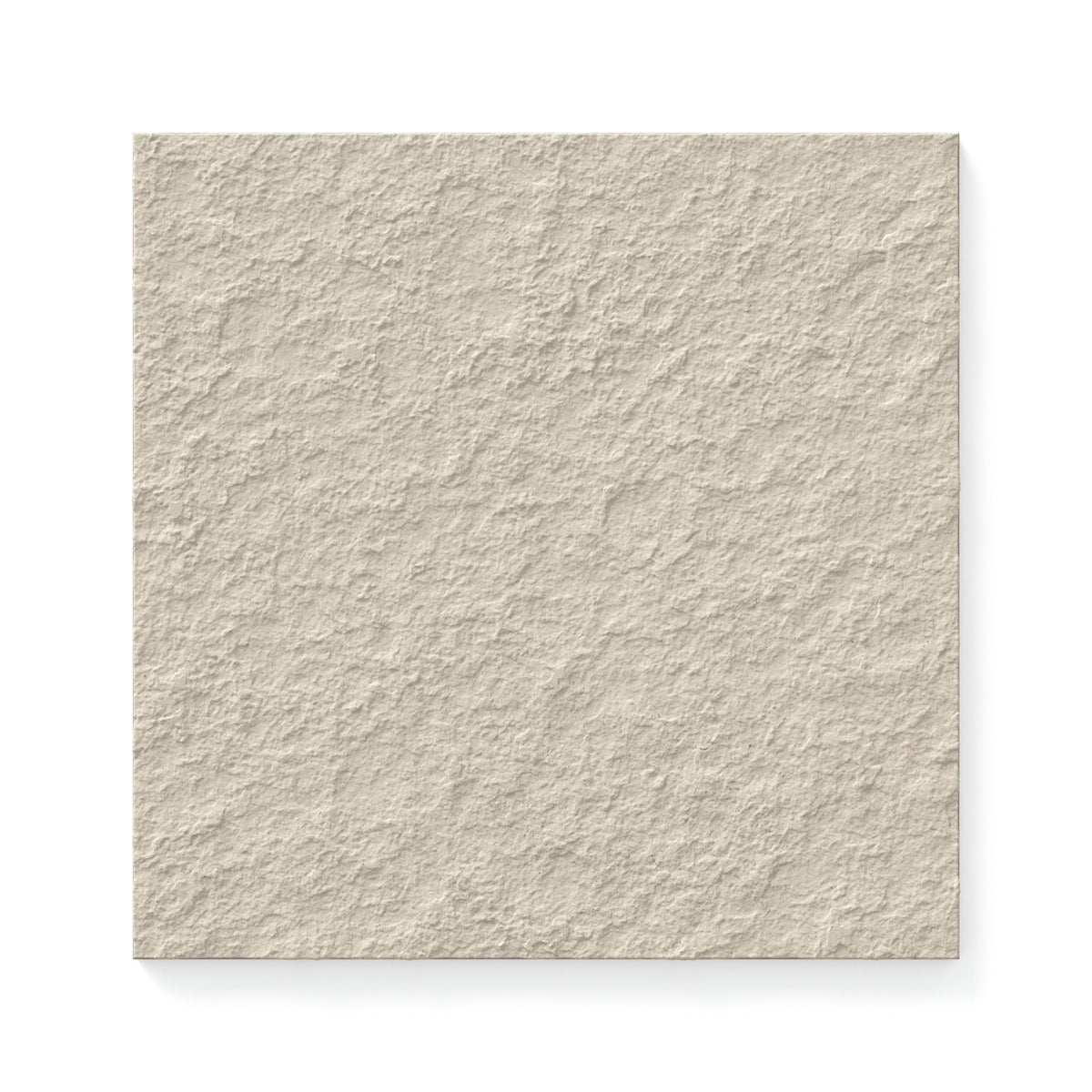 Palmer 12 x 12 Raw Porcelain Tile in Natural