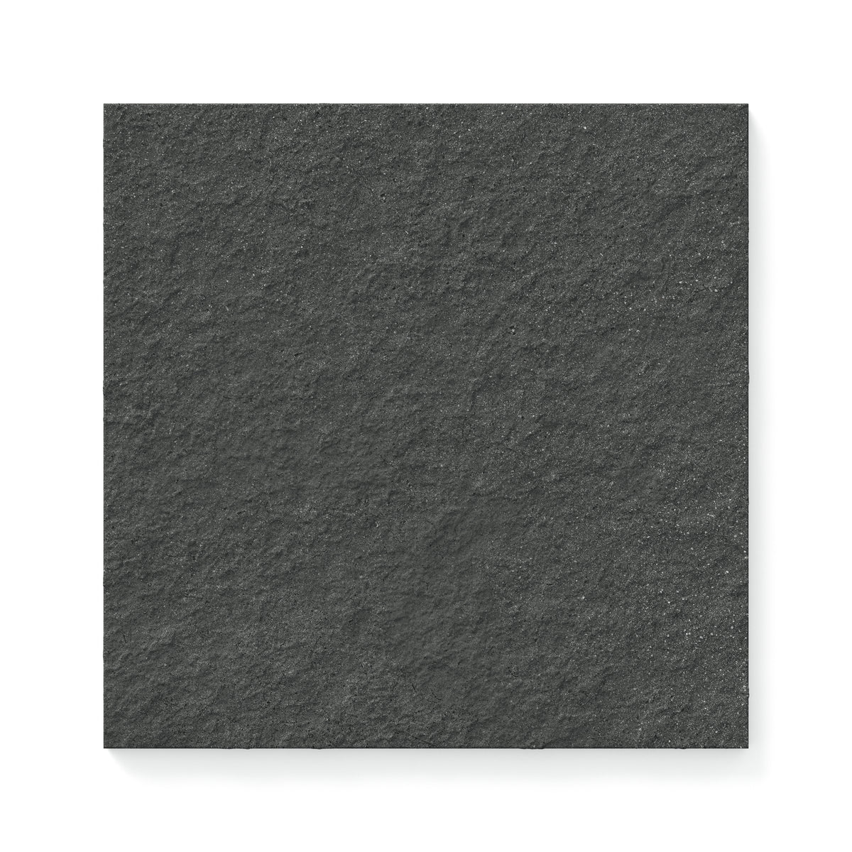 Palmer 12 x 12 Raw Porcelain Tile in Nero
