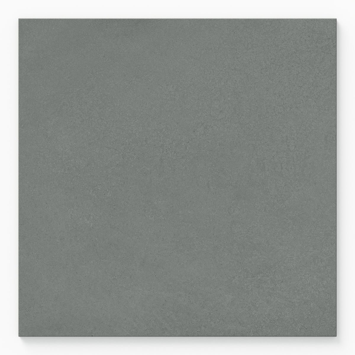 Palmer 24 x 24 Matte Porcelain Tile in Sage