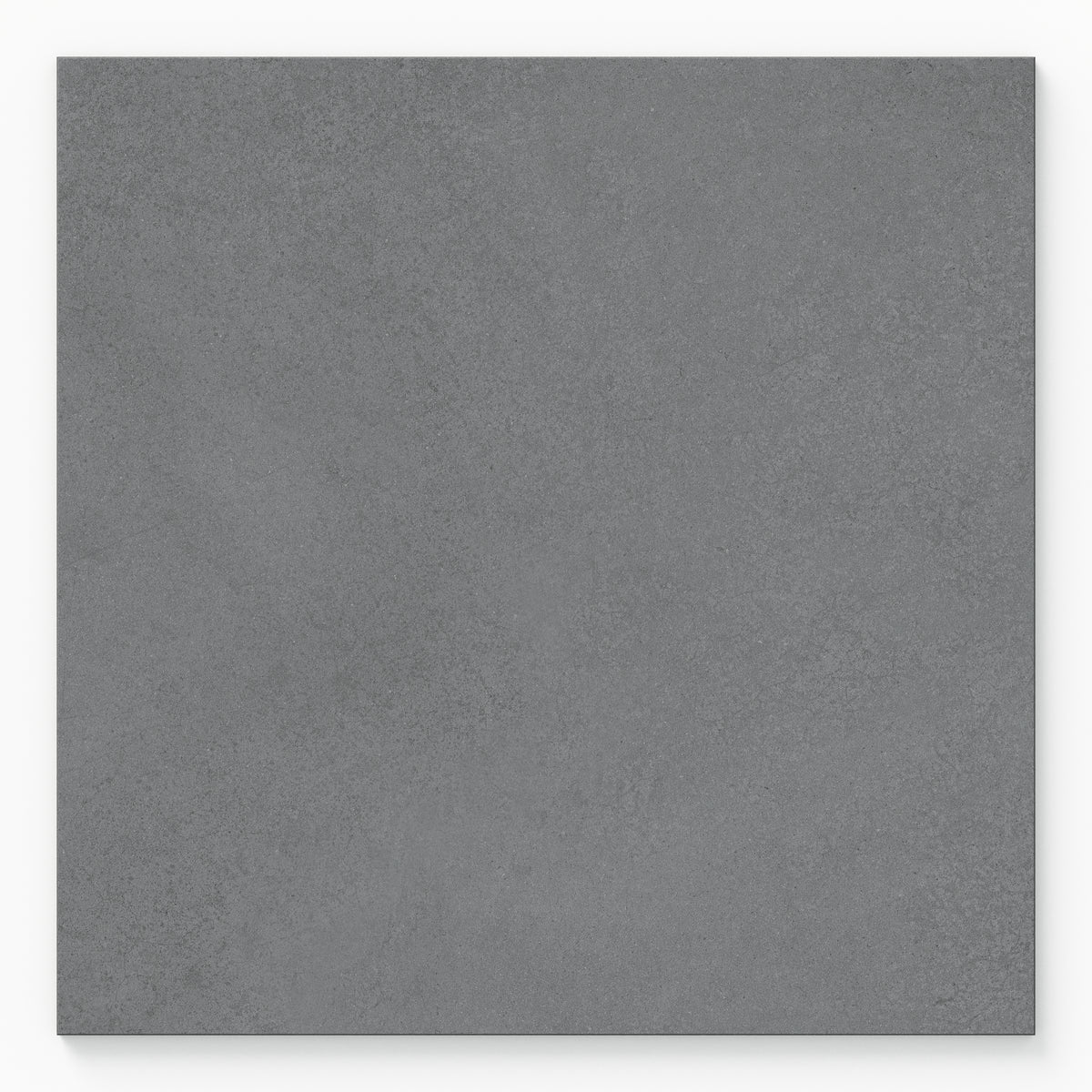 Palmer 24 x 24 Matte Porcelain Tile in Grey