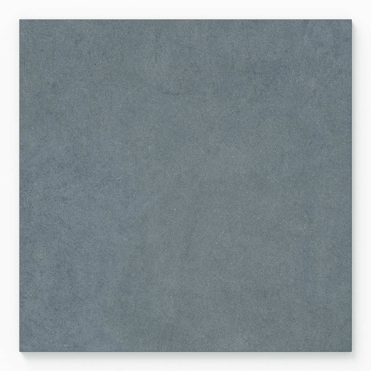 Palmer 24 x 24 Matte Porcelain Tile in Blue