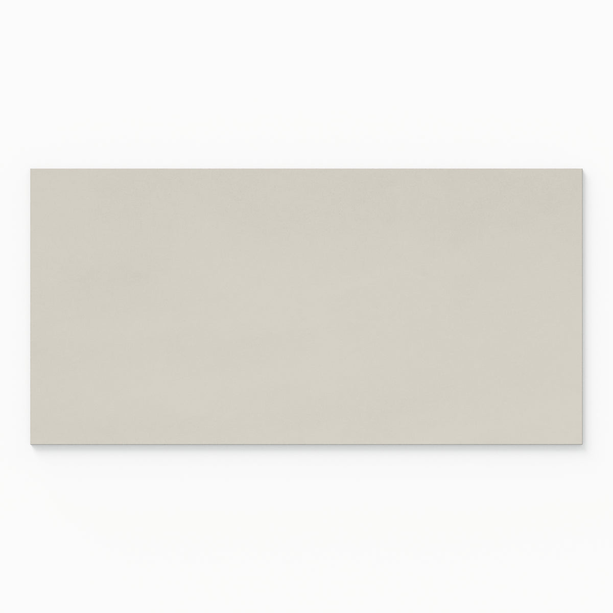 Palmer 24 x 48 Matte Porcelain Tile in White