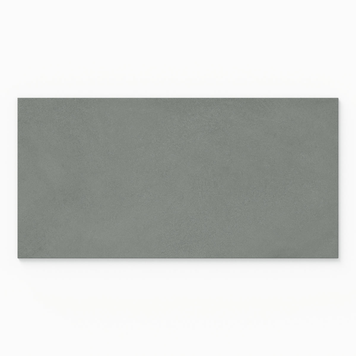 Palmer 24 x 48 Matte Porcelain Tile in Sage