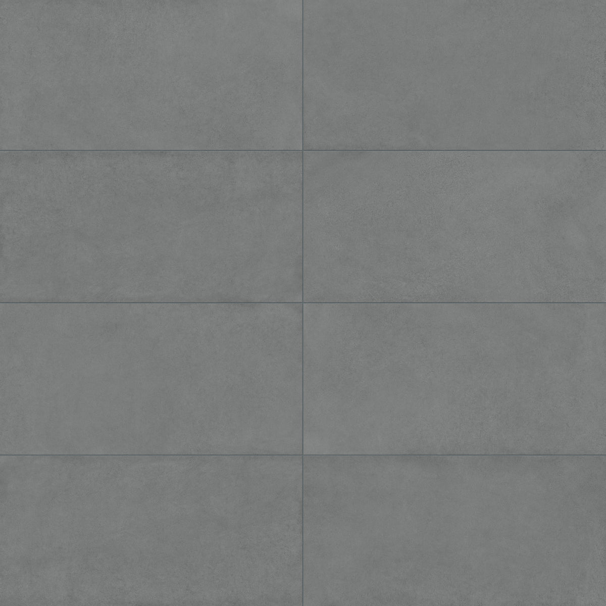 Palmer 24 x 48 Matte Porcelain Tile in Grey