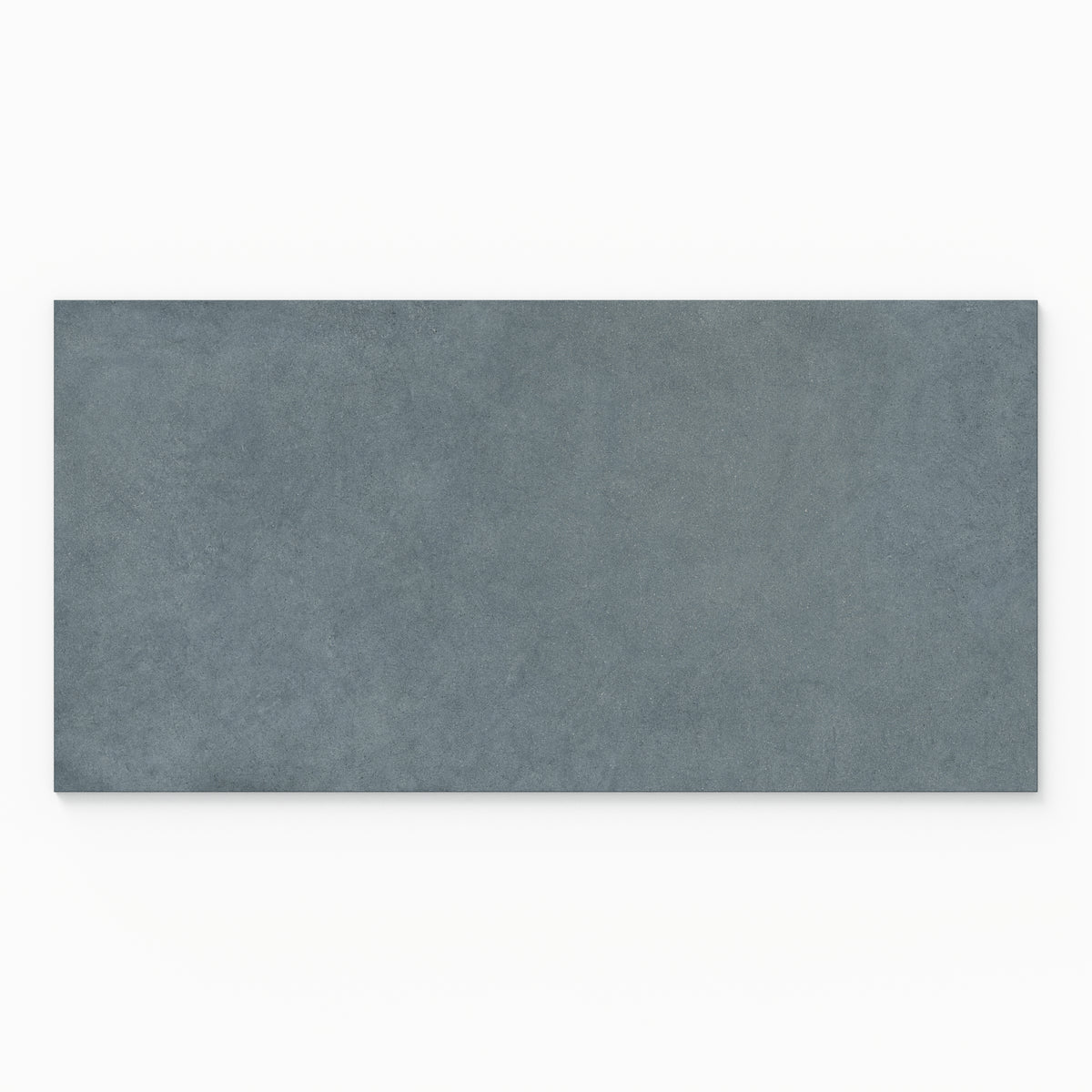 Palmer 24 x 48 Matte Porcelain Tile in Blue