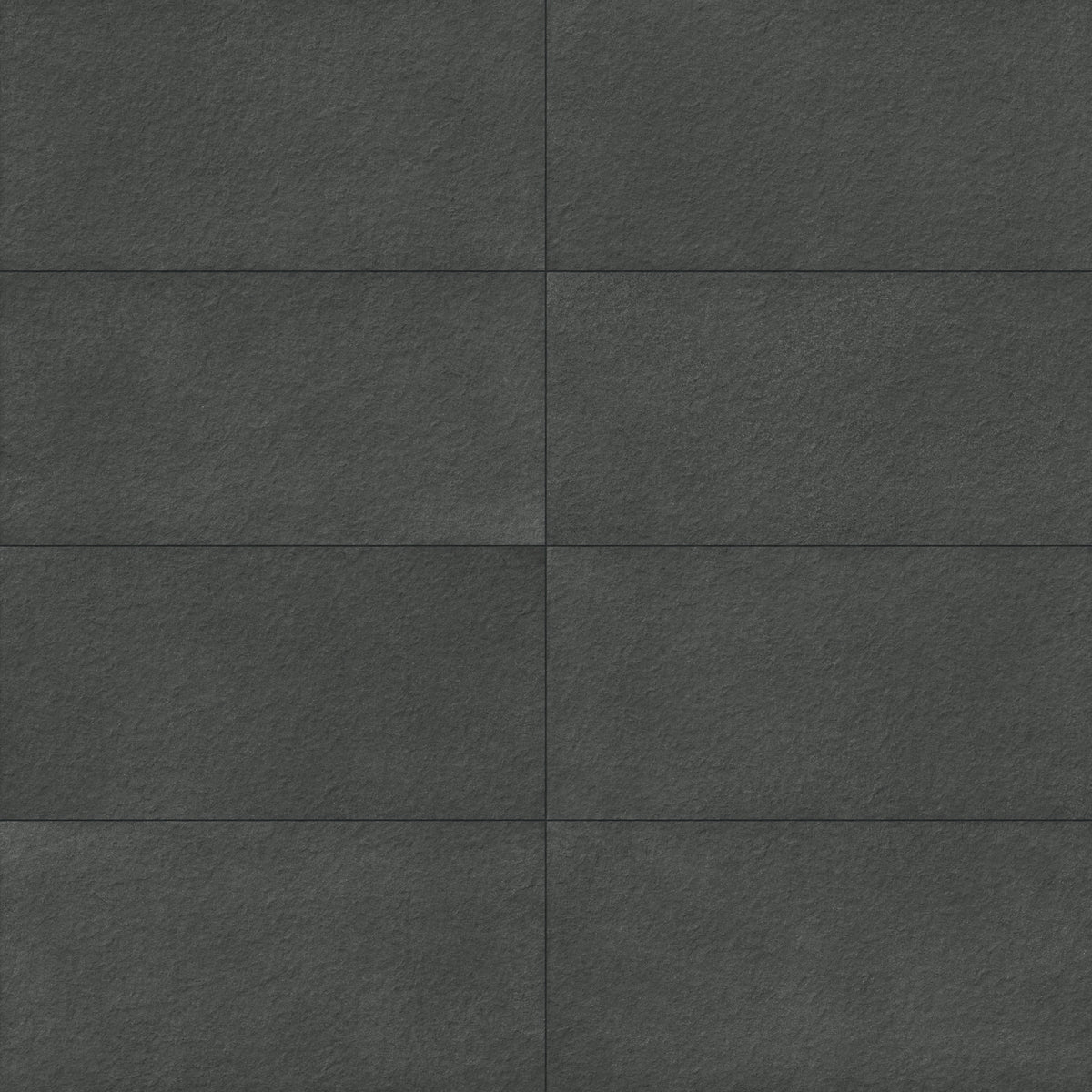 Palmer 24 x 48 Raw Porcelain Tile in Nero