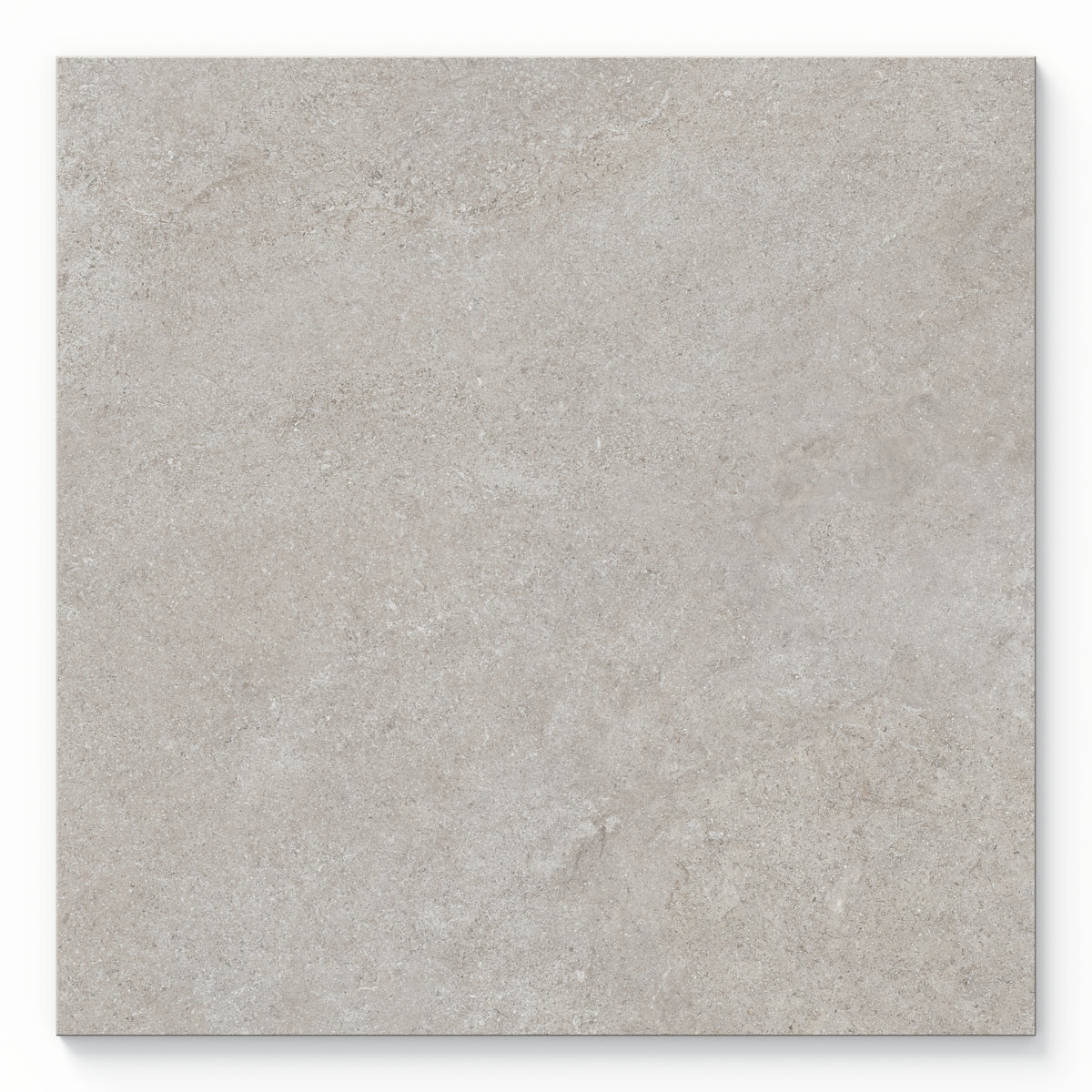 Adeline 24 x 24 Matte Porcelain Tile in Taupe