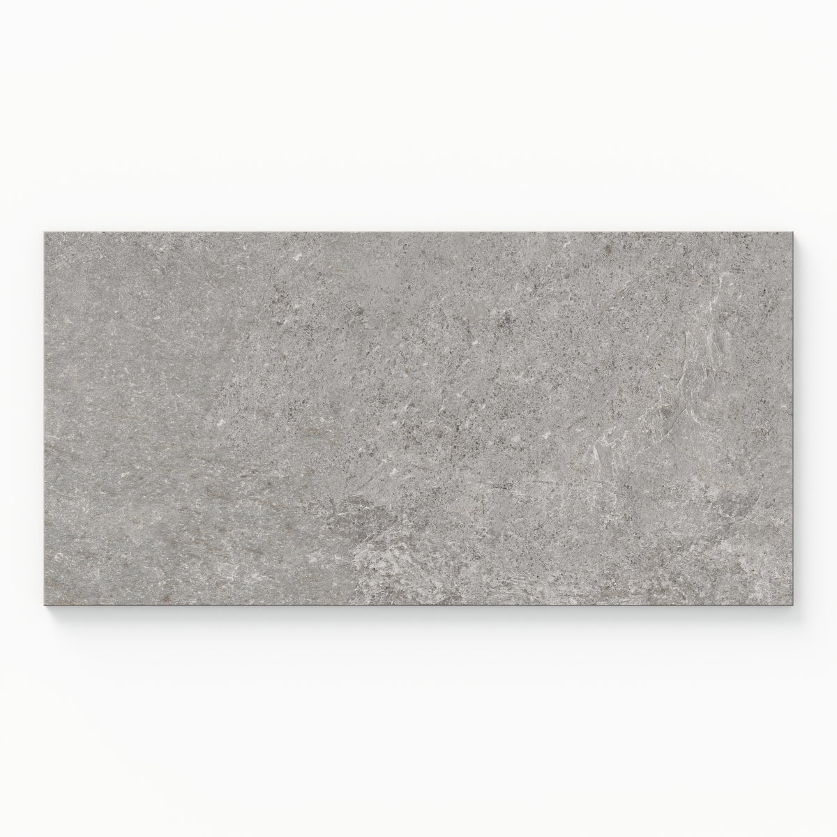 Dawson 12 x 24 Matte Porcelain Tile in Millstone