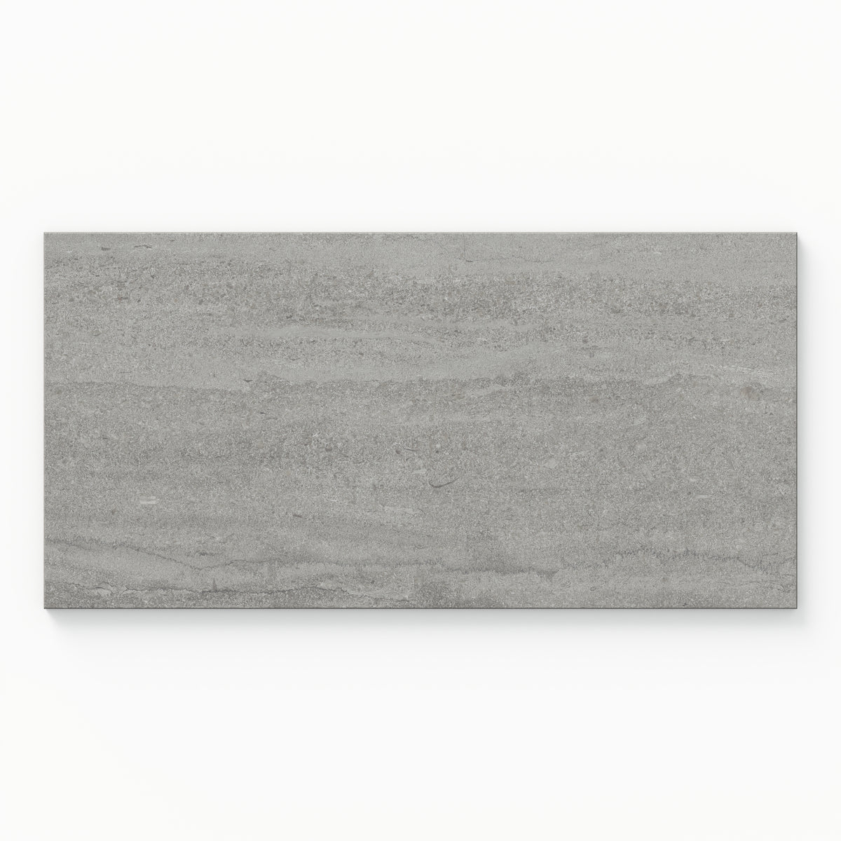Tatum 12 x 24 Matte Porcelain Tile in Vein-Cut Ash