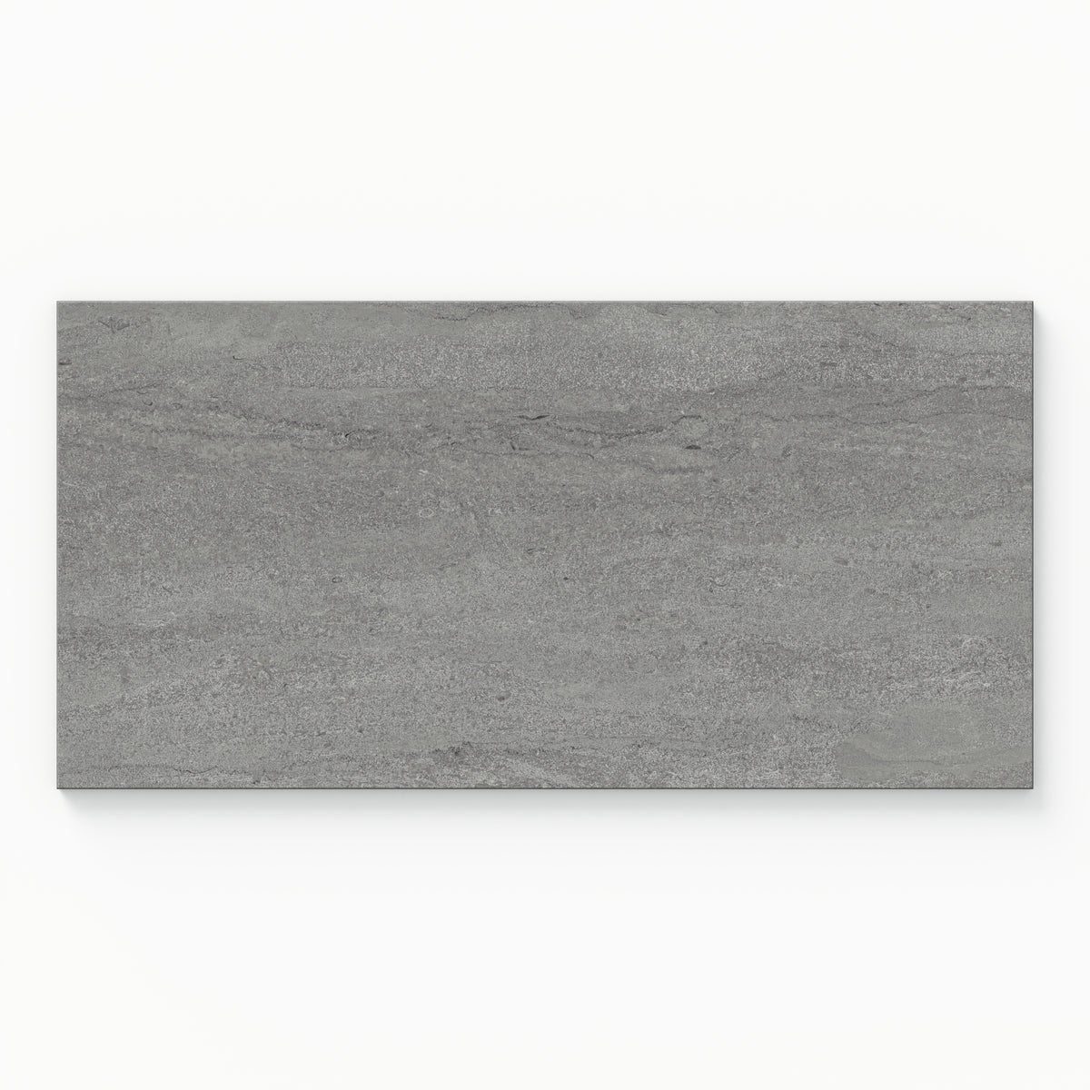 Tatum 12 x 24 Matte Porcelain Tile in Vein-Cut Pewter