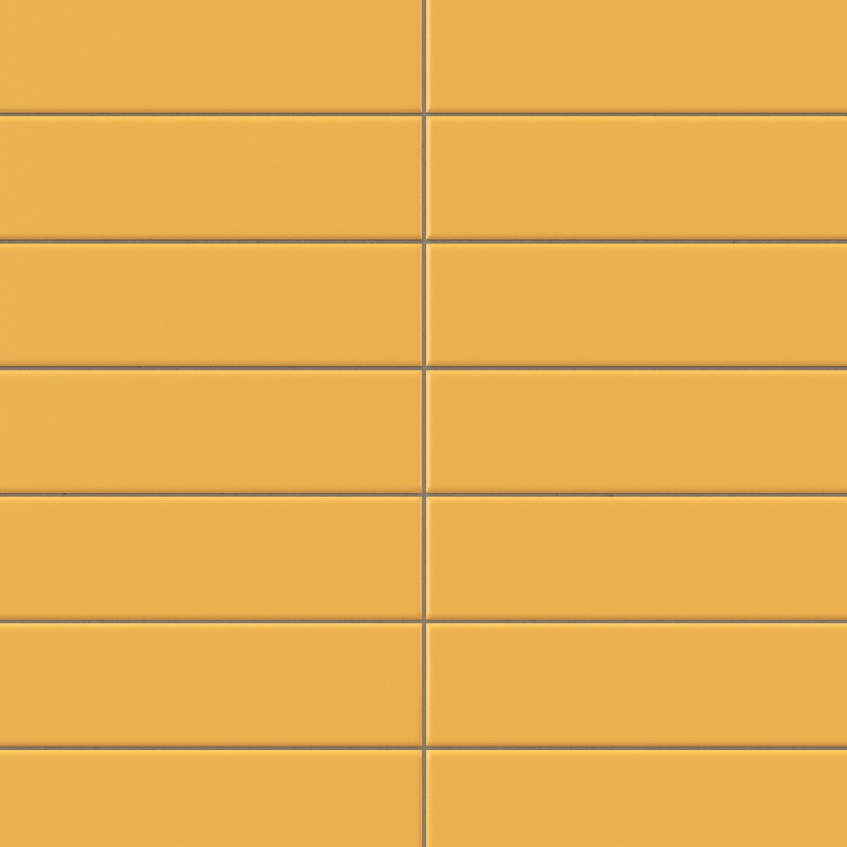 Polly 3 x 10 Glossy Ceramic Tile in Yellow