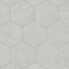Grey hexagon tile with a matte finish, offering a subtle and modern aesthetic for versatile interior designs