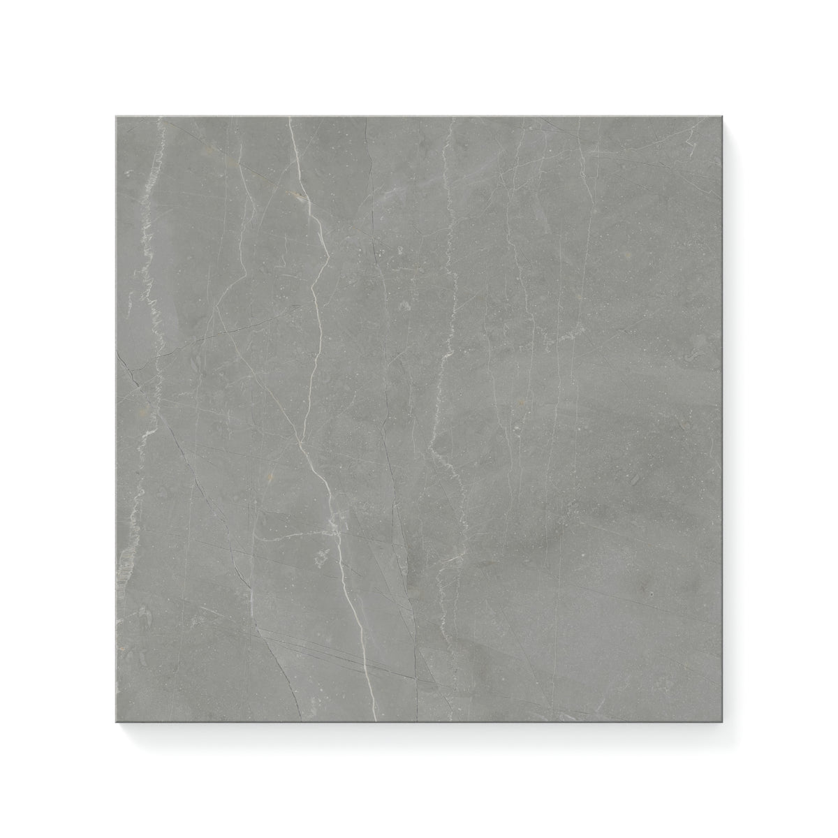 Leona 12 x 12 Polished Porcelain Tile in Amani Grey