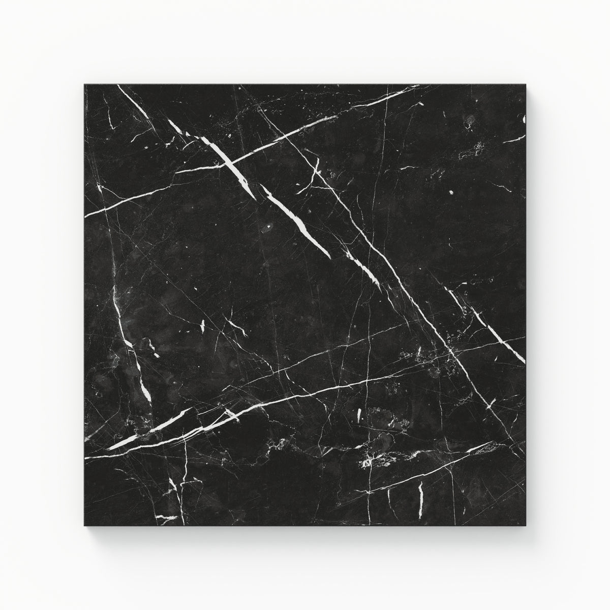 Leona 12 x 12 Polished Porcelain Tile in Nero Marquina