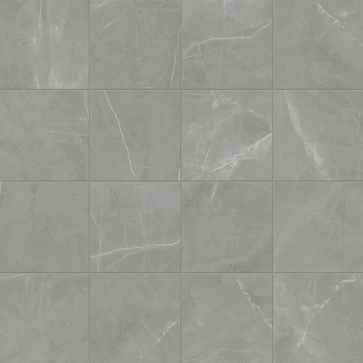 Leona 12 x 12 Matte Porcelain Tile in Amani Grey