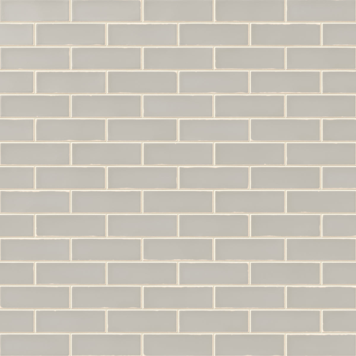 Dani 1.6 x 5 Matte Ceramic Tile in Ice Grey