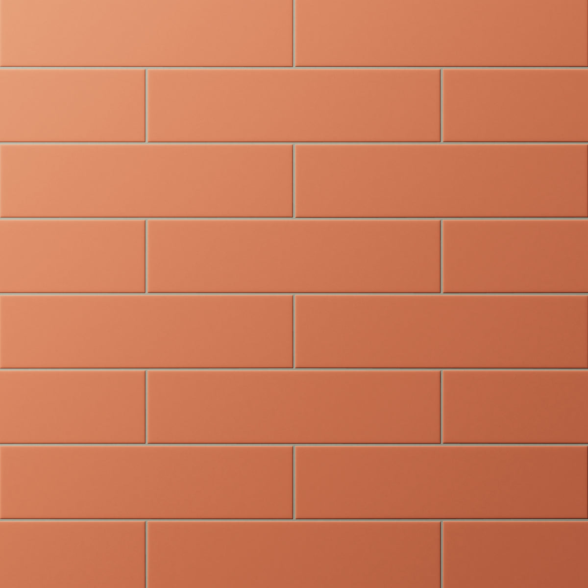 Terracotta subway tiles in a staggered layout with a matte finish, bringing earthy warmth to walls or backsplashes.