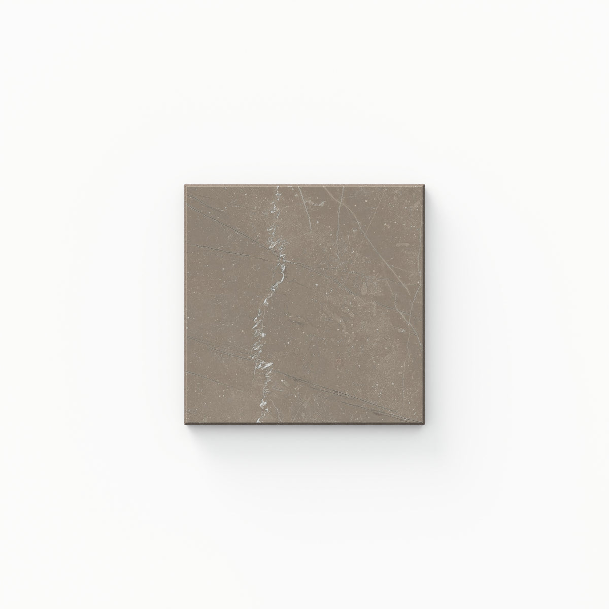 Leona 4 x 4 Matte in Amani Bronze Sample