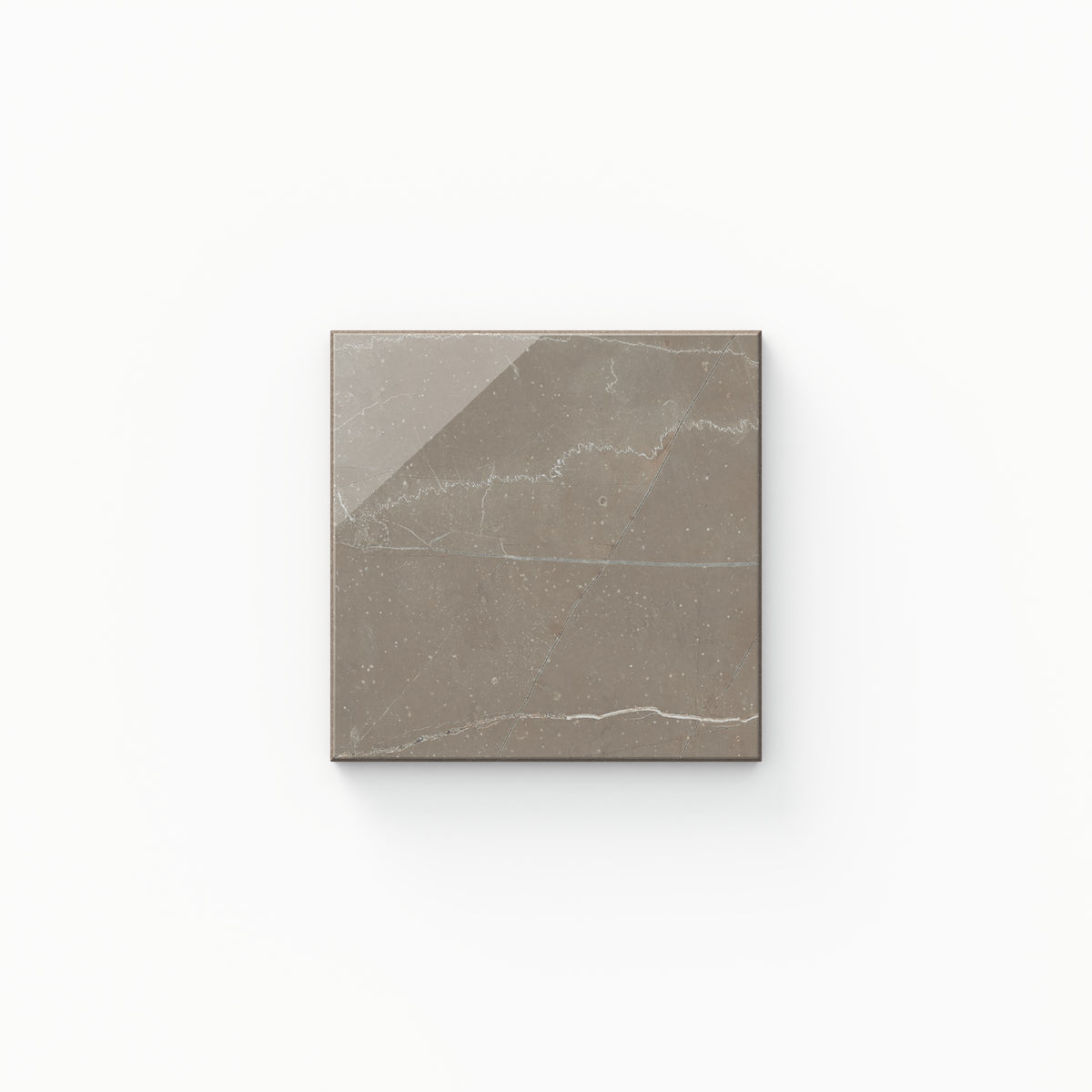 Leona 4 x 4 Polished in Amani Bronze Sample