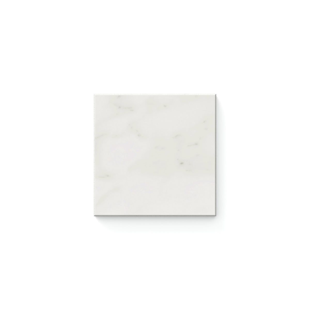 Aniston 4 x 4 Matte in Carrara Bianco Sample