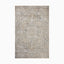 Distressed Persian-style power loomed rug in warm beige and gray tones made of polyester, featuring an ornate medallion pattern for a vintage, timeworn elegance.