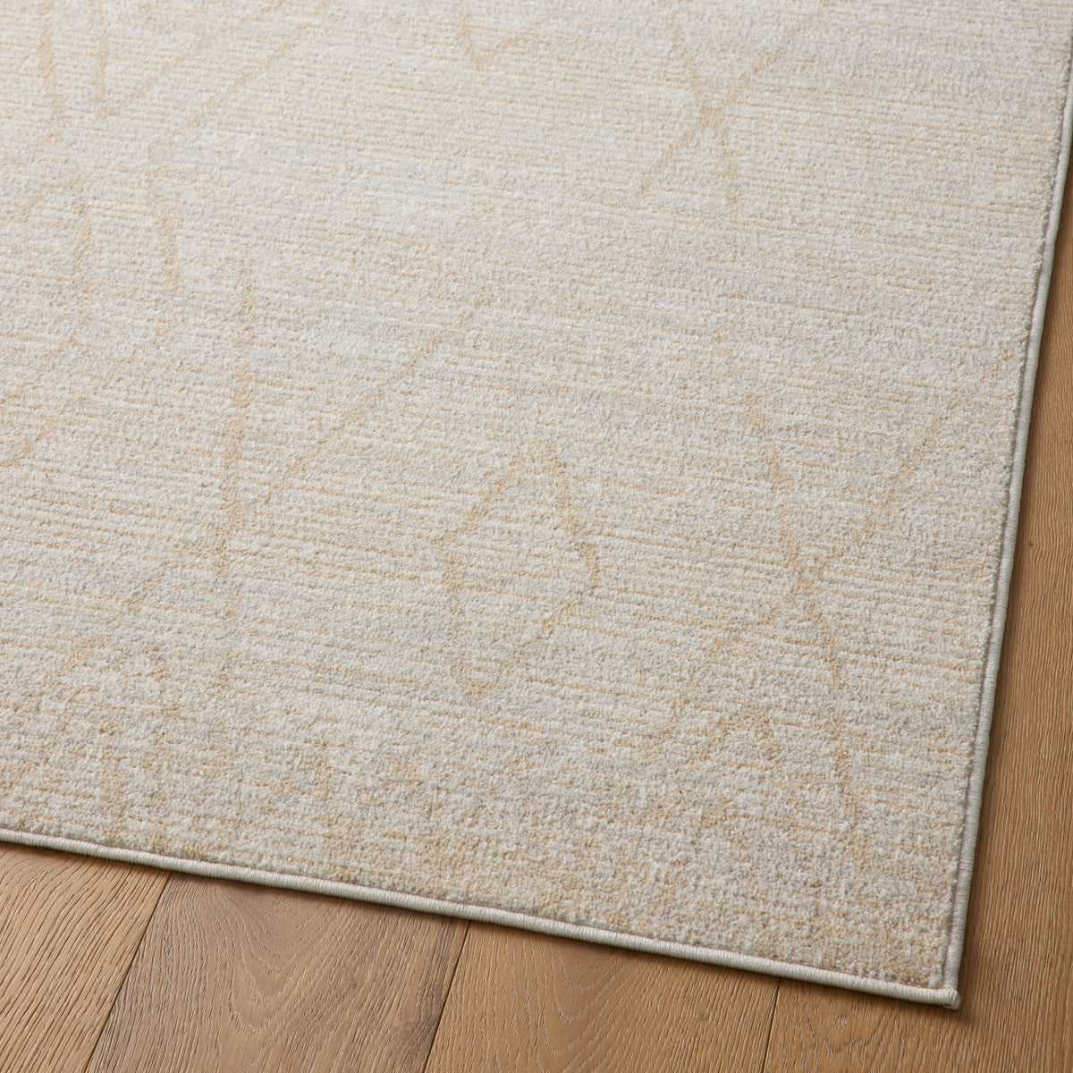 Liddy Rug in Sand / Fog