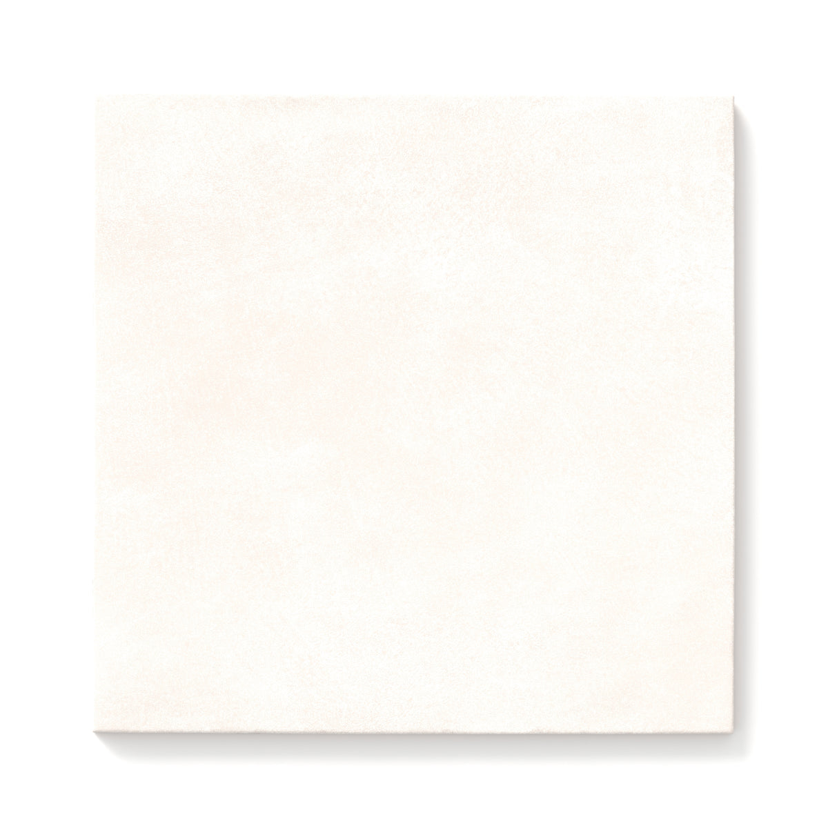 Kai 12 x 12 Matte Porcelain Tile in Whisper