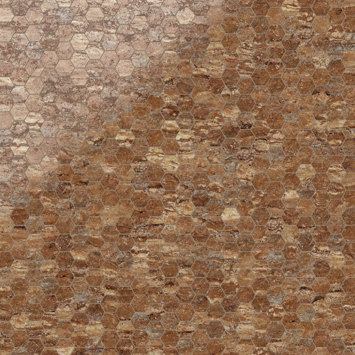 Marlow 3 x 3 Polished Porcelain Hexagon Mosaic in Bold