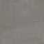 Elliot 24 x 48 Matte Porcelain Tile in Coal