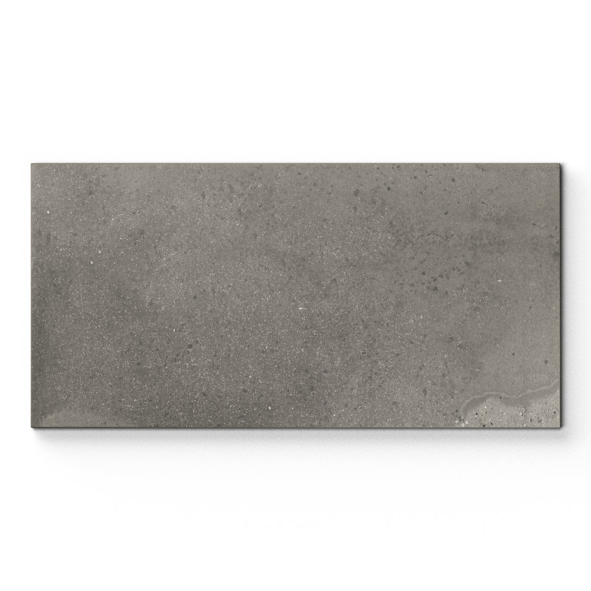 Marco 12 x 24 Matte Porcelain Tile in Twilight