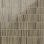 Miley 4.5 x 9 Glossy Porcelain Tile in Musgo