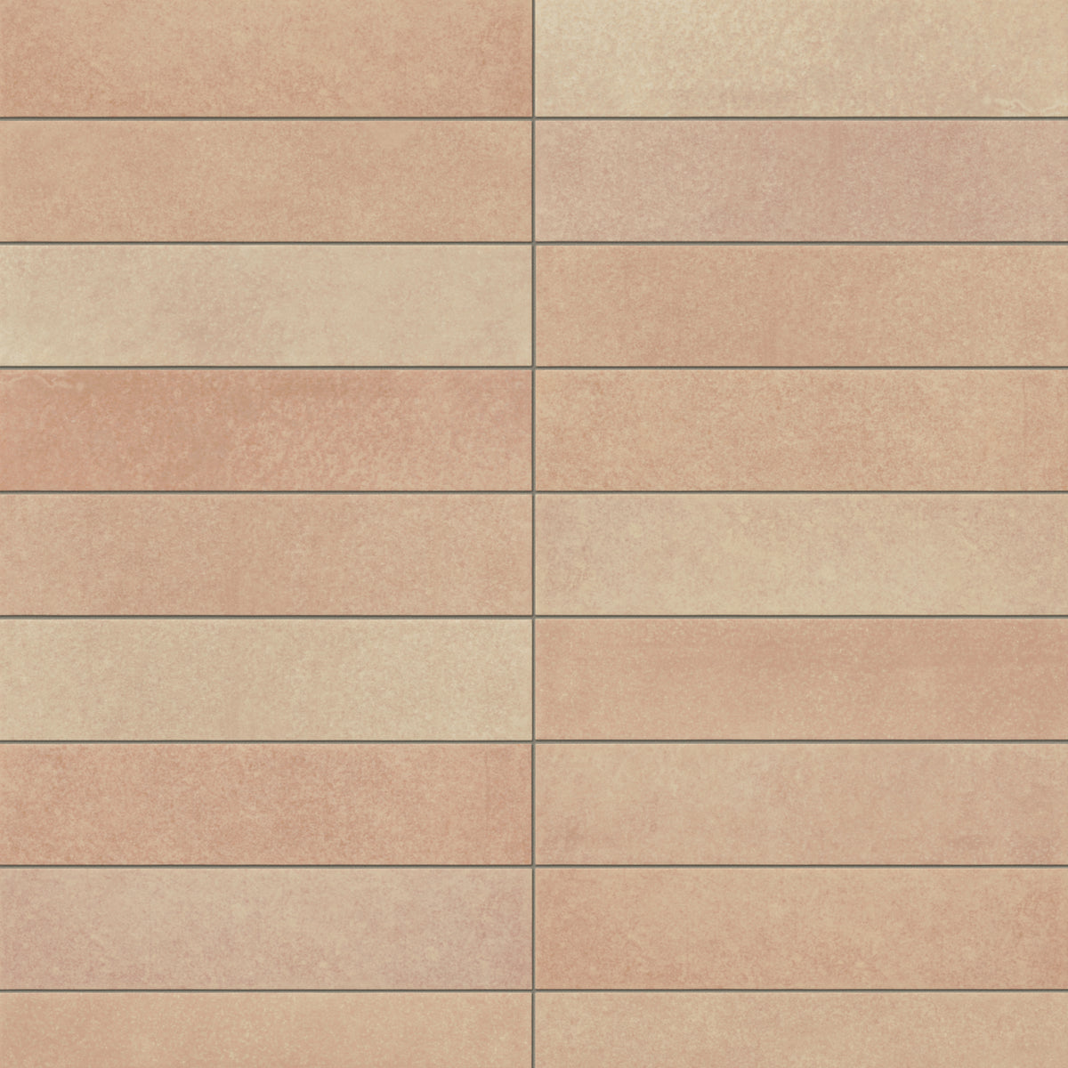 Aurelia 2.5 x 11 Matte Porcelain Subway Tile in Tierra