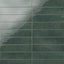 Aurelia 2.5 x 11 Glossy Porcelain Subway Tile in Oliva